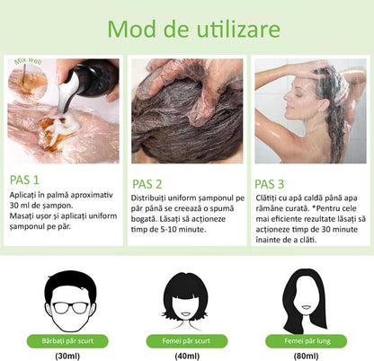 PărTânăr™ Șampon 3 în 1 Colorarea Părului și Acoperirea Părului Gri 1 Kg