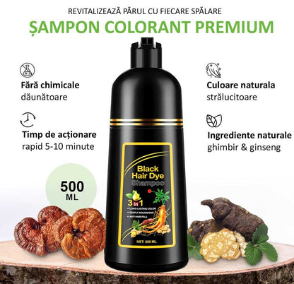 PărTânăr™ Șampon 3 în 1 Colorarea Părului și Acoperirea Părului Gri 1 Kg